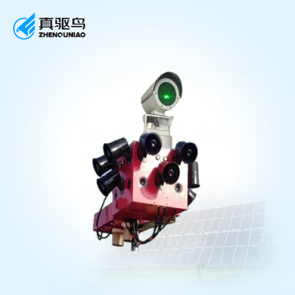 zqn20240223c.png